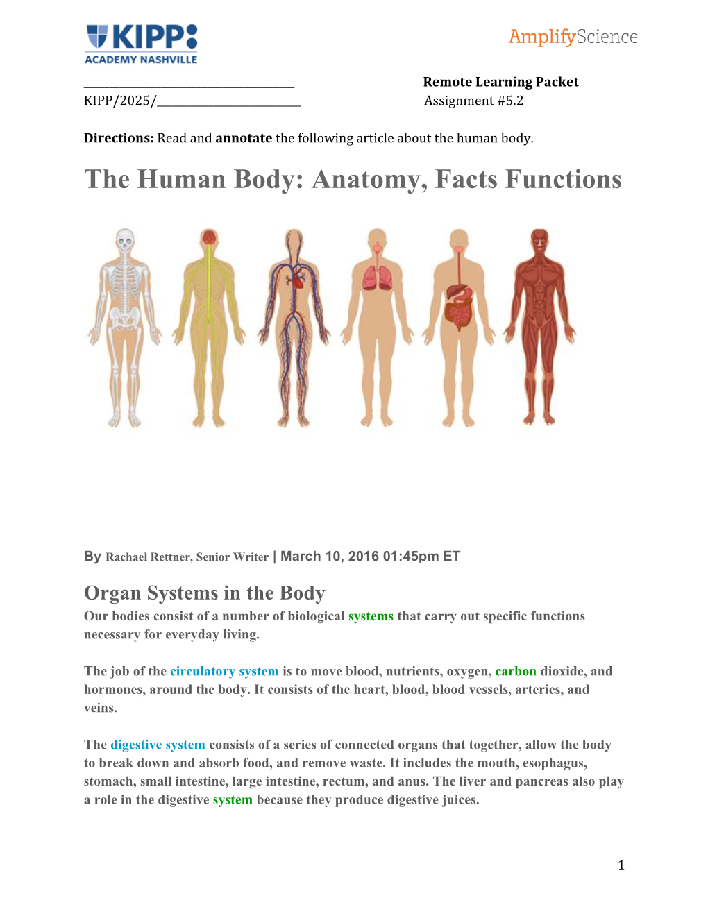 The Human Body: Anatomy, Facts Functions