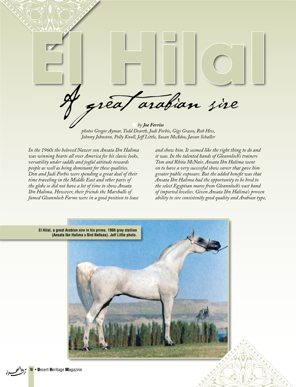 20 El Hilal a Great Arabian Sire.Pdf