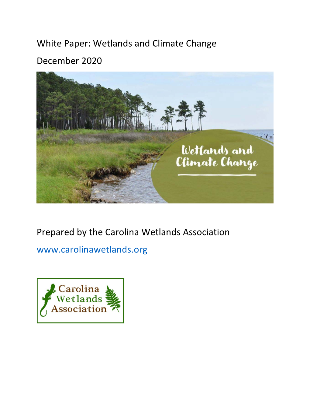 White Paper: Wetlands and Climate Change December 2020 Prepared