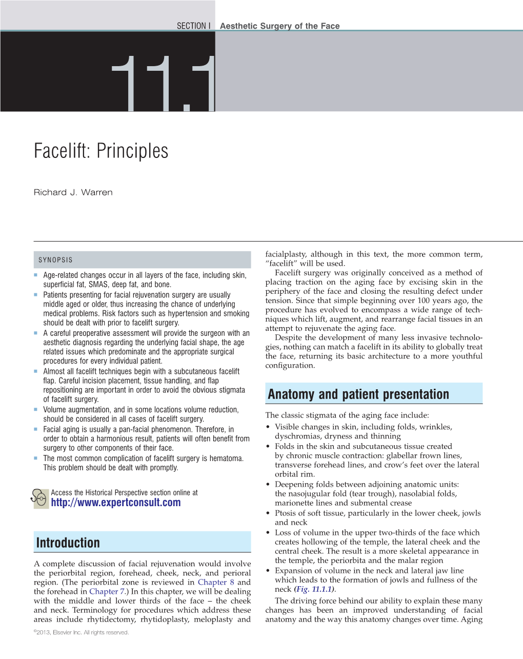 Facelift Principles