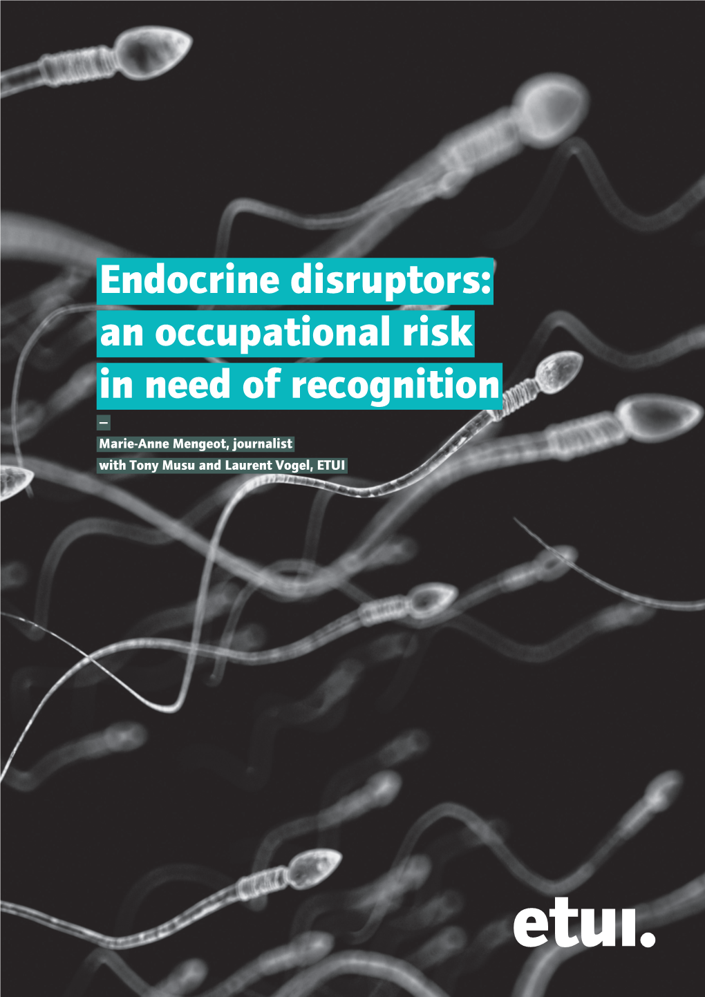 Endocrine Disruptors: an Occupational Risk in Need of Recognition — Marie-Anne Mengeot, Journalist with Tony Musu and Laurent Vogel, ETUI