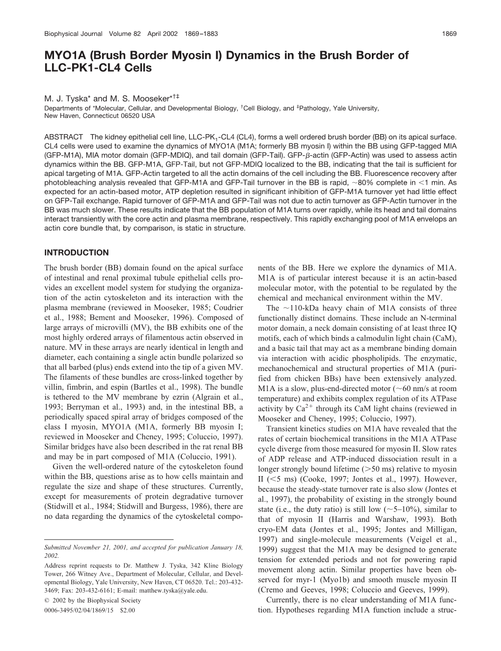 MYO1A (Brush Border Myosin I) Dynamics in the Brush Border of LLC-PK1-CL4 Cells