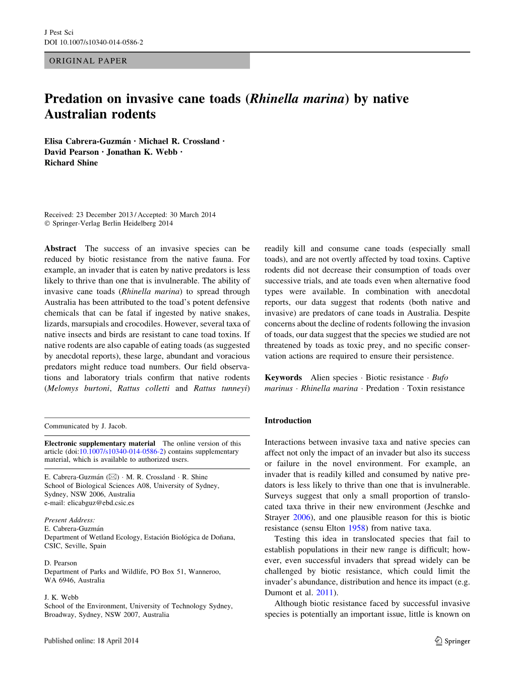 Predation on Invasive Cane Toads (Rhinella Marina) by Native Australian Rodents