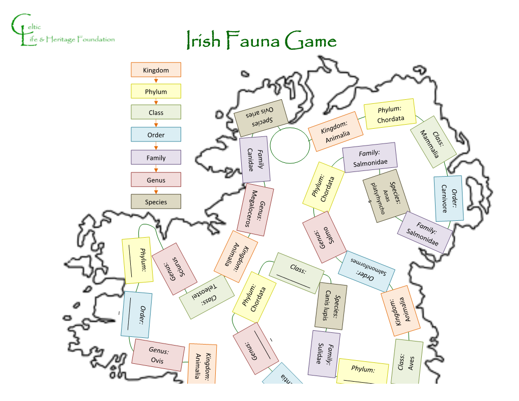 Irish Fauna Game