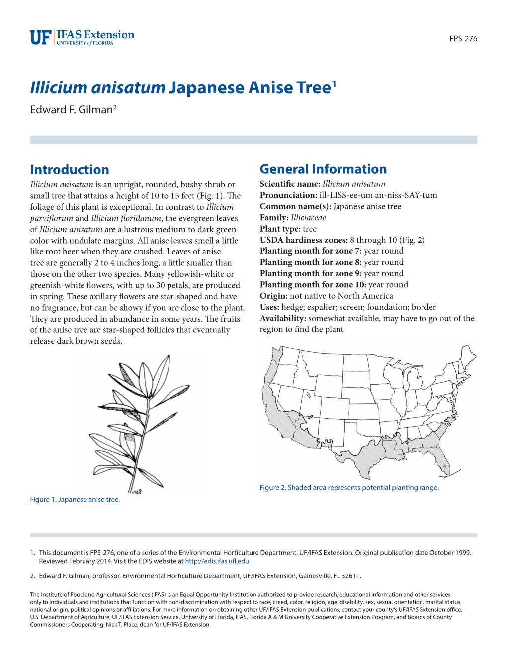 Illicium Anisatum Japanese Anise Tree1 Edward F