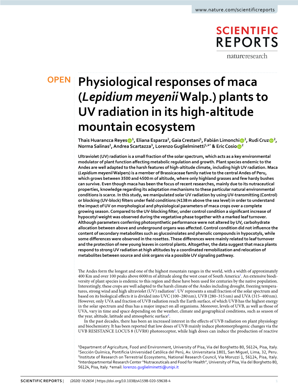 Physiological Responses of Maca (Lepidium Meyenii Walp.) Plants to UV Radiation in Its High-Altitude Mountain Ecosystem