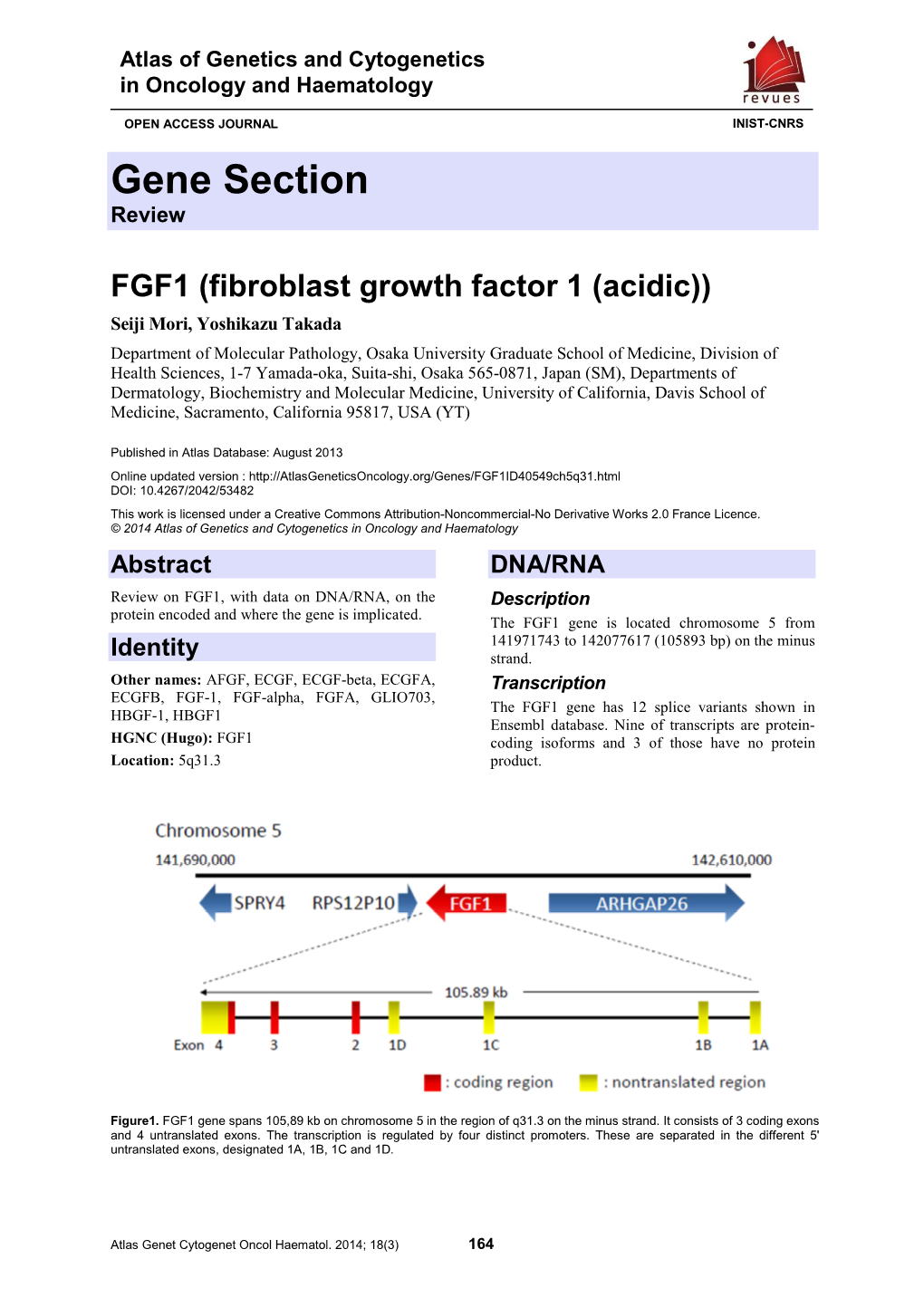 FGF1 (Fibroblast Growth Factor 1 (Acidic))