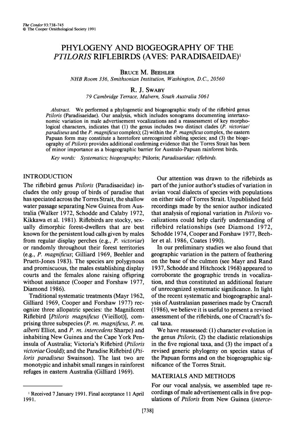 Phylogeny and Biogeography of the Ptiloris Riflebirds (Aves: Paradisaeidae)’