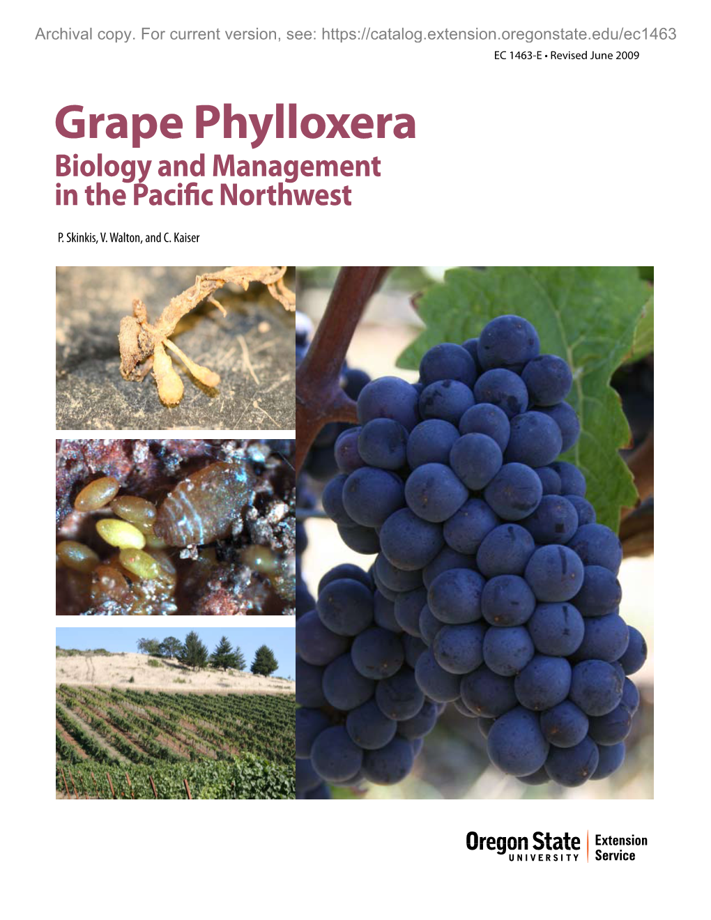 Grape Phylloxera Biology and Management in the Pacific Northwest