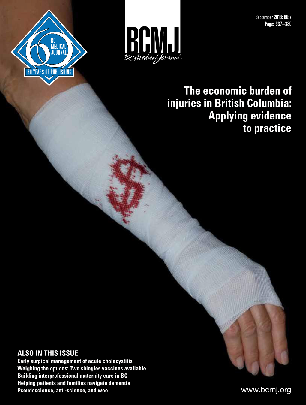 The Economic Burden of Injuries in British Columbia: Applying Evidence to Practice