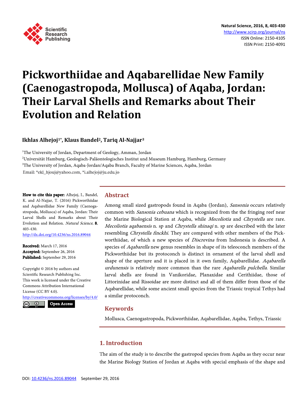 Caenogastropoda, Mollusca) of Aqaba, Jordan: Their Larval Shells and Remarks About Their Evolution and Relation