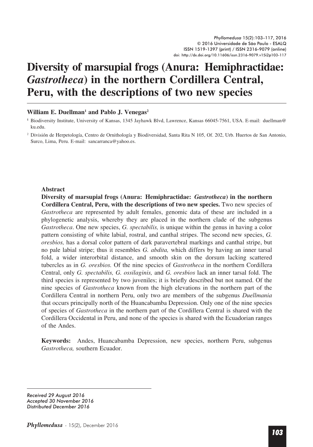 (Anura: Hemiphractidae: Gastrotheca) in the Northern Cordillera Central, Peru, with the Descriptions of Two New Species