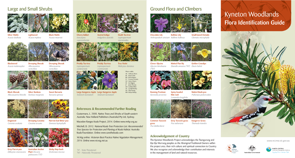 Kyneton Woodlands Flora Identification Guide