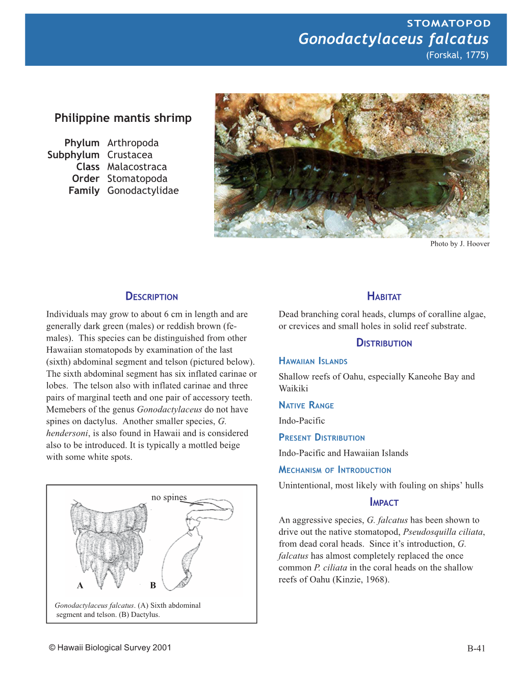 Alien Marine Invertebrates of Hawaii