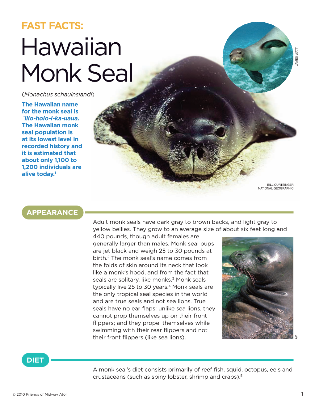 Monk Seal Facts