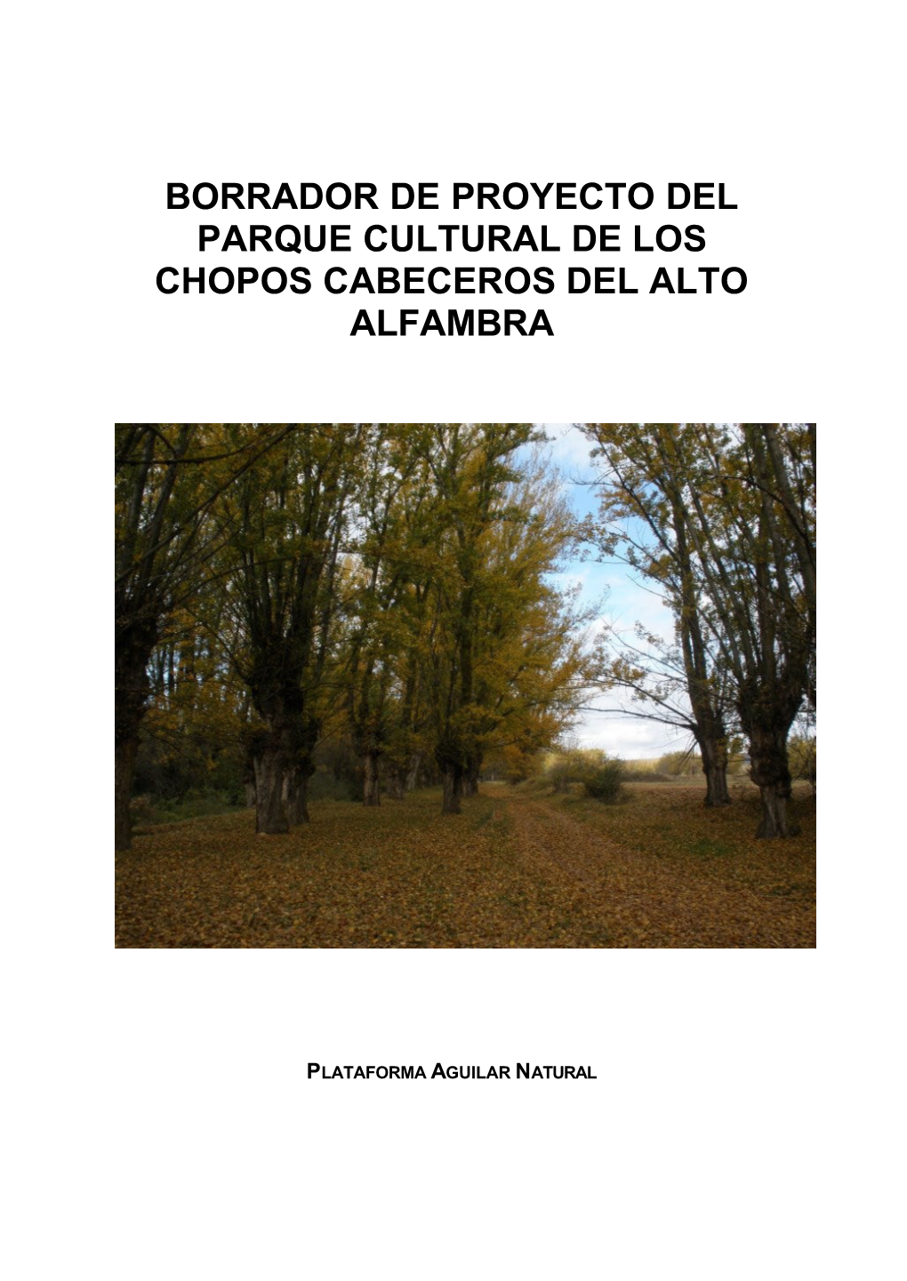 Borrador De Proyecto Del Parque Cultural De Los Chopos Cabeceros Del Alto Alfambra