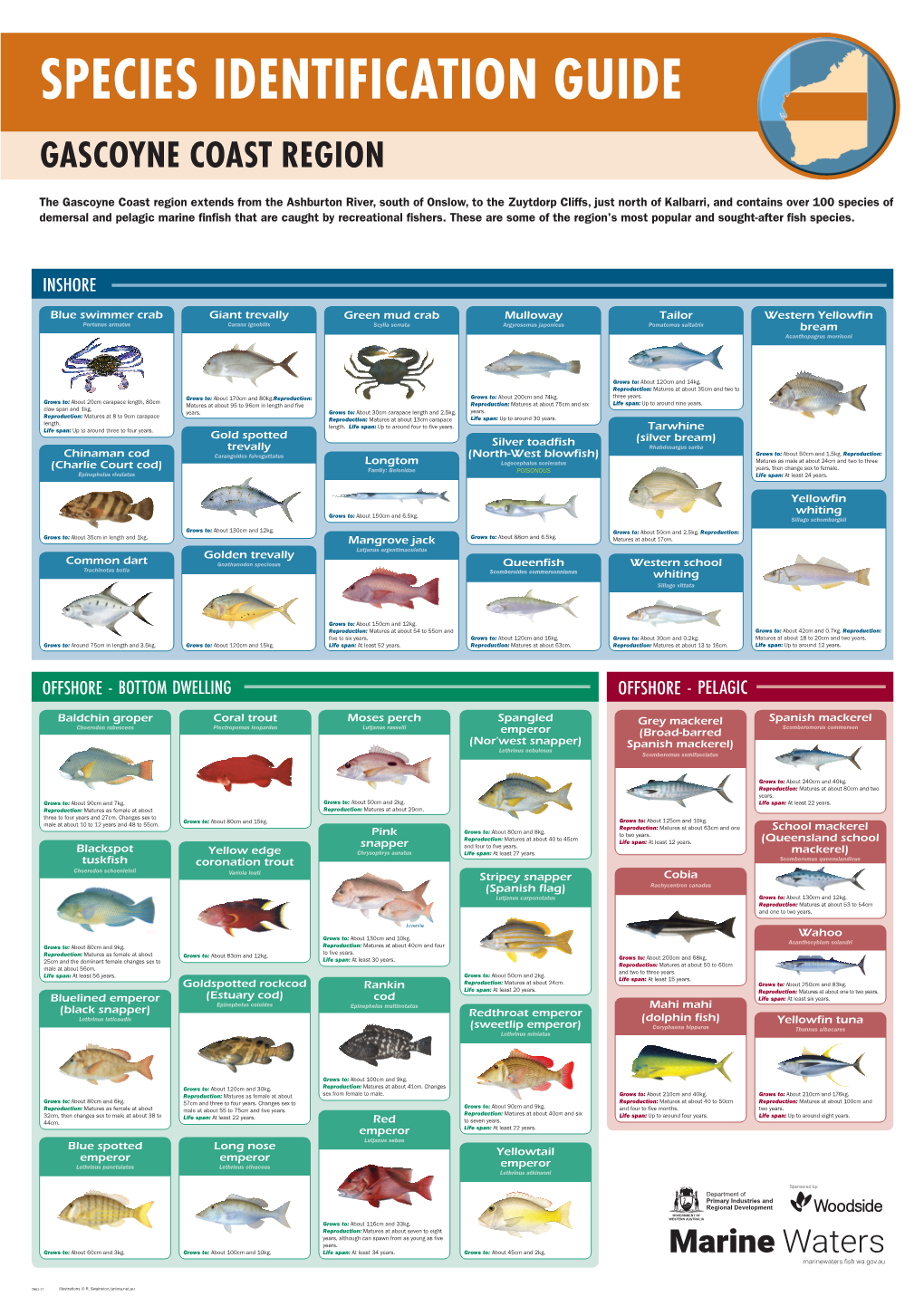 Gascoyne Species Id Poster