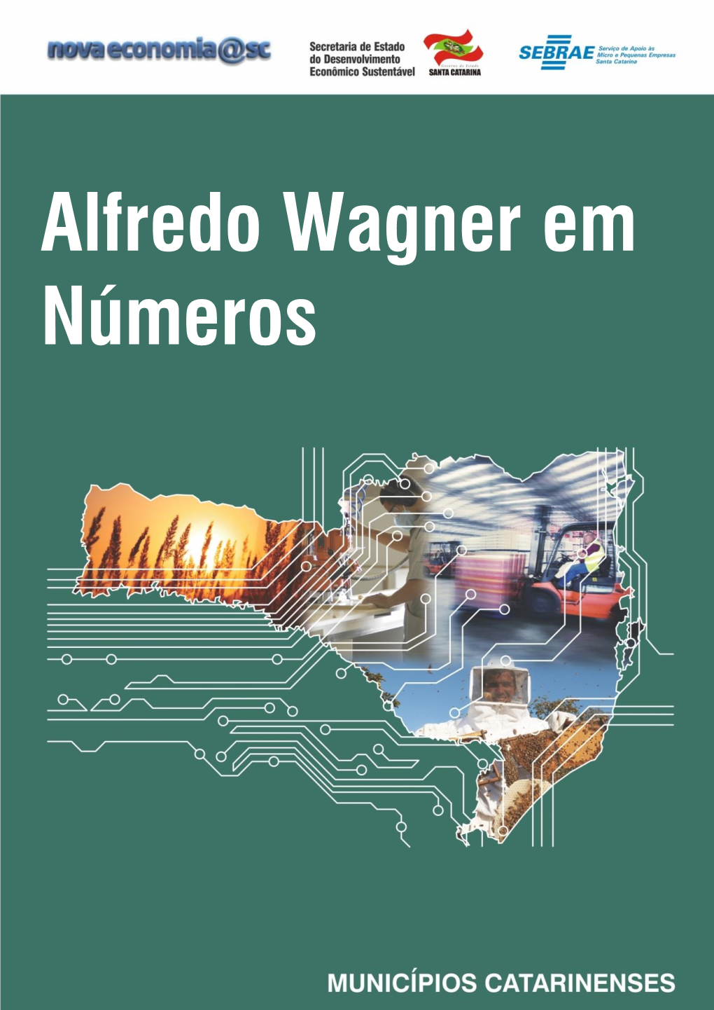 Alfredo Wagner Em Números