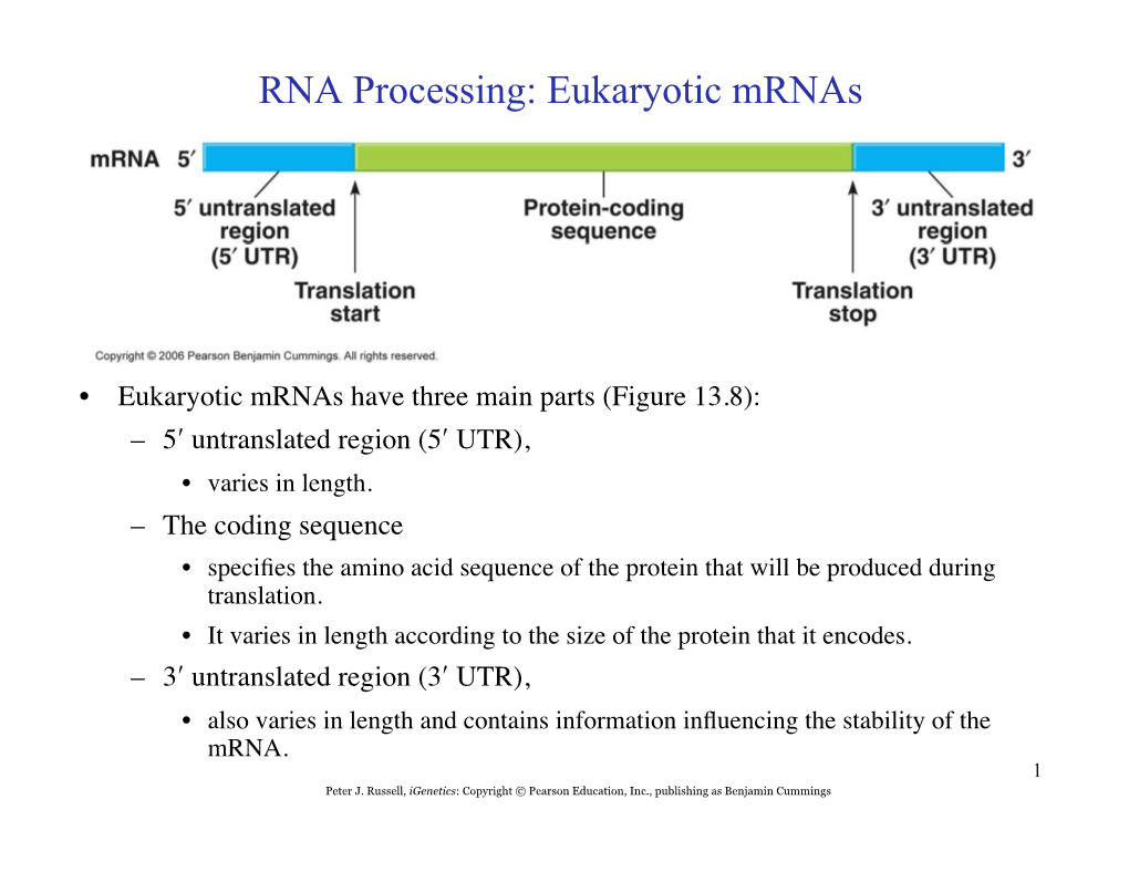 RNA Processing: Eukaryotic Mrnas