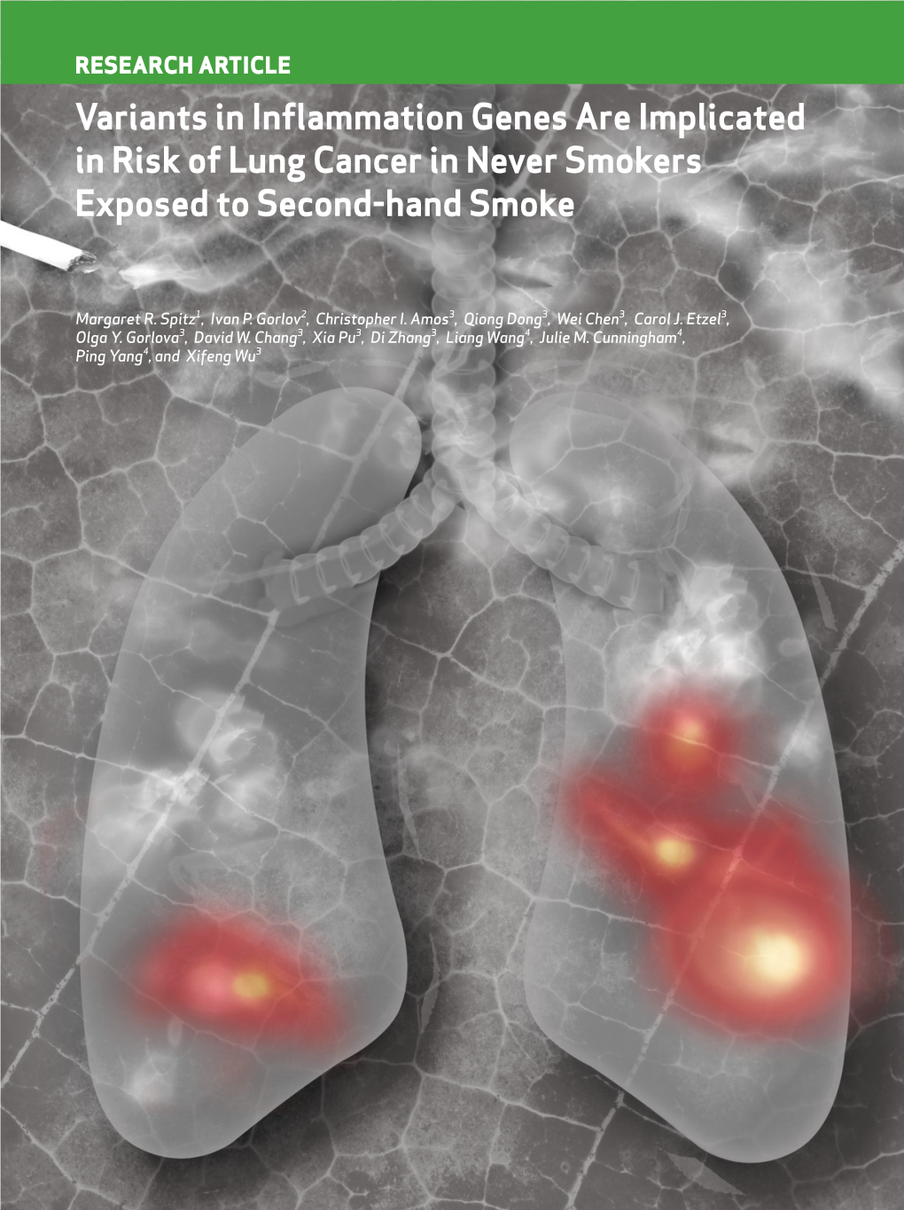 Variants in Inflammation Genes Are Implicated in Risk of Lung Cancer in Never Smokers Exposed to Second-Hand Smoke