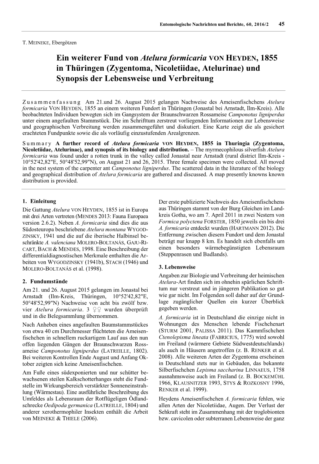 Ein Weiterer Fund Von Atelura Formicaria VON HEYDEN, 1855 in Thüringen (Zygentoma, Nicoletiidae, Atelurinae) Und Synopsis Der Lebensweise Und Verbreitung