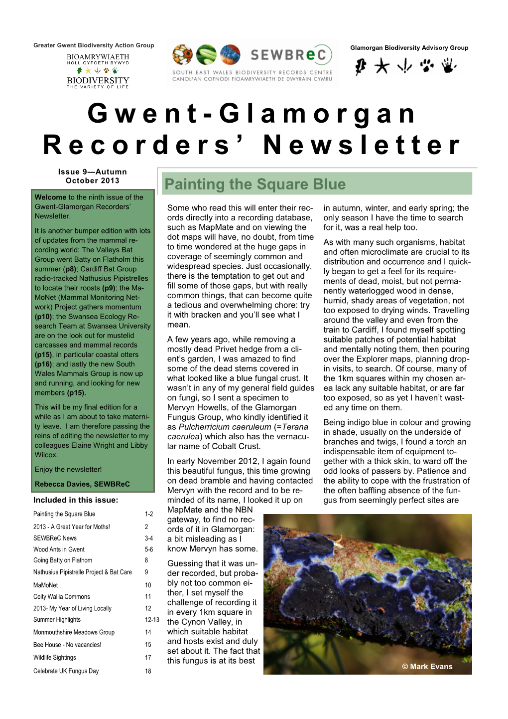 Gwent-Glamorgan Recorders' Newsletter Issue 9