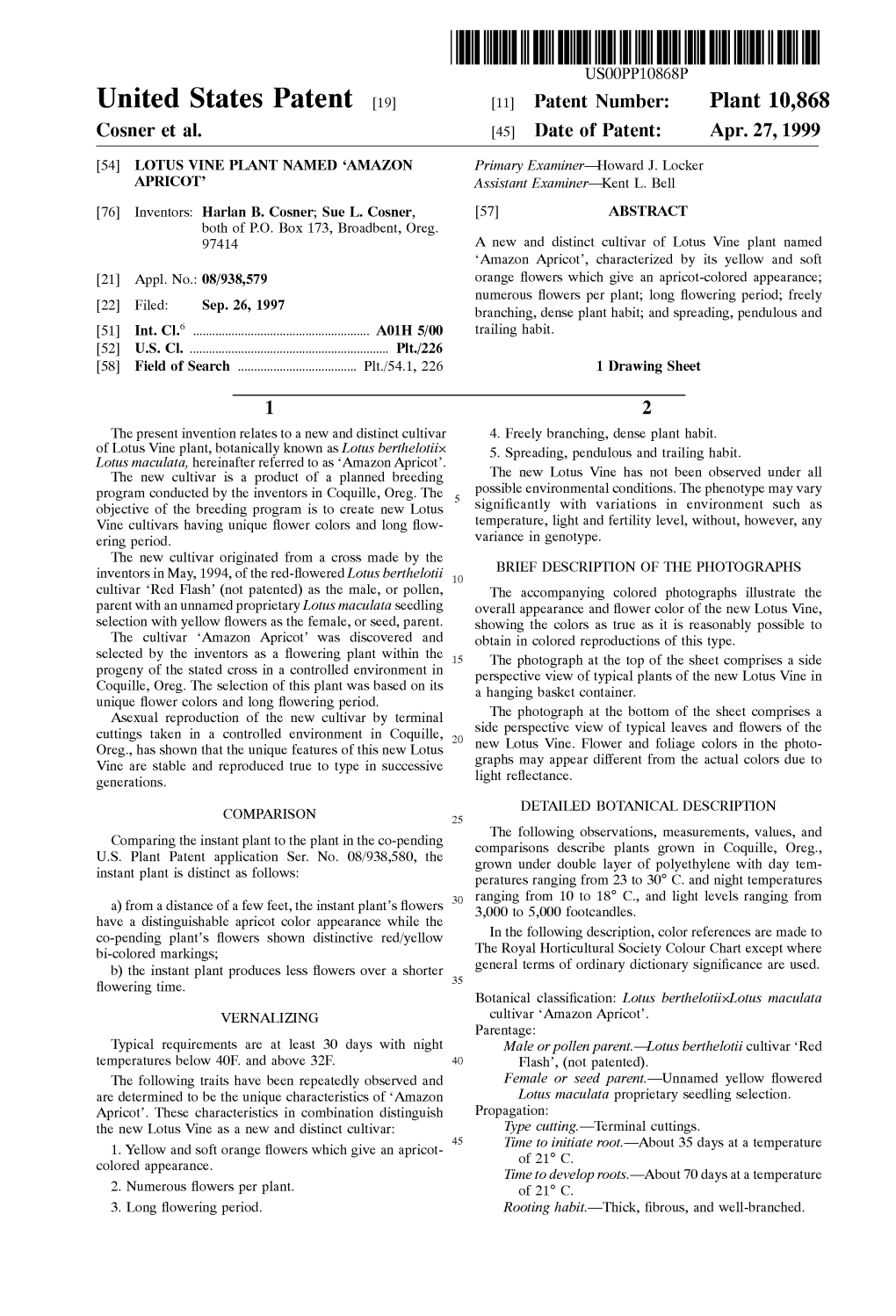 United States Patent [19] [11] Patent Number: Plant 10,868 Cosner Et Al