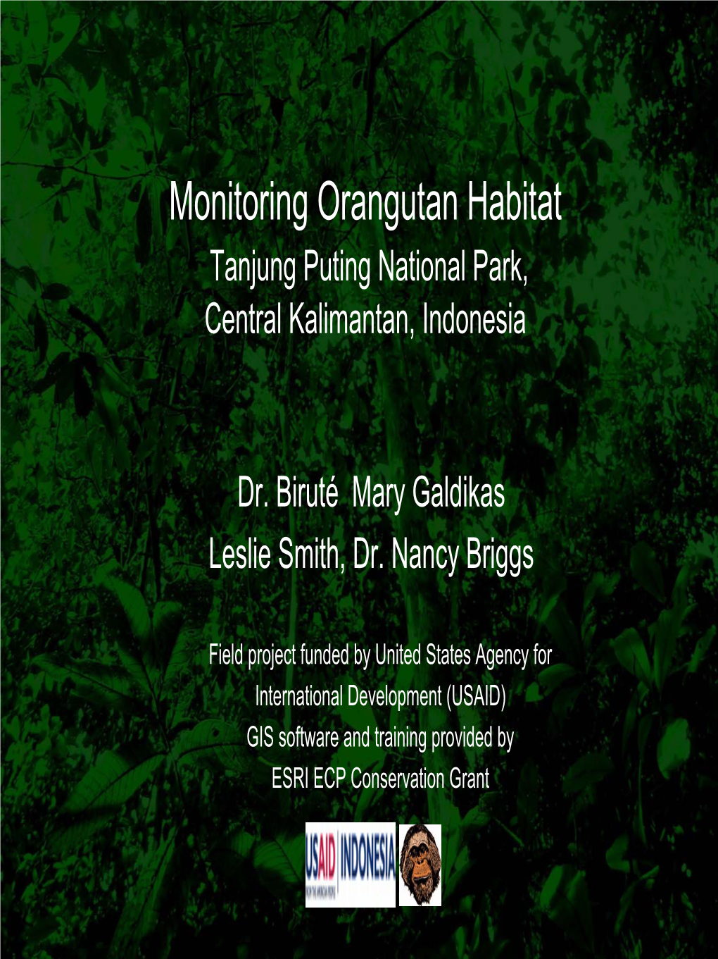 Monitoring Orangutan Habitat at Tanjung