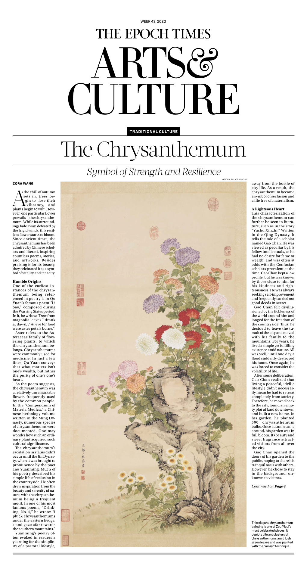 The Chrysanthemum Symbol of Strength and Resilience National Palace Museum Cora Wang Away from the Bustle of City Life