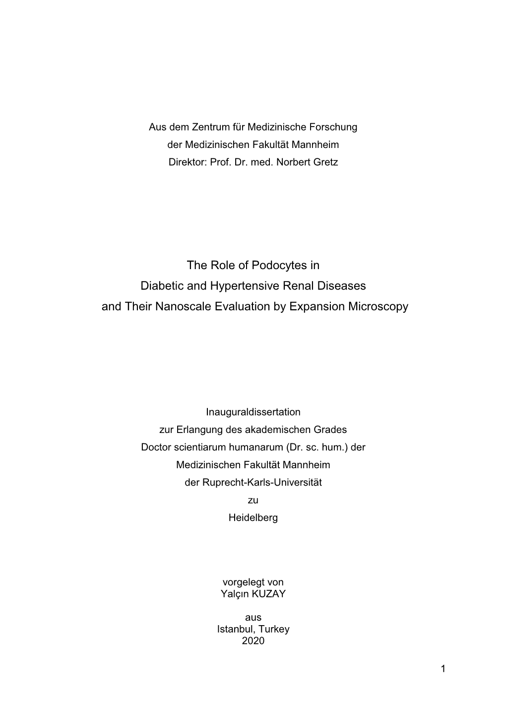 The Role of Podocytes in Diabetic and Hypertensive Renal Diseases and Their Nanoscale Evaluation by Expansion Microscopy