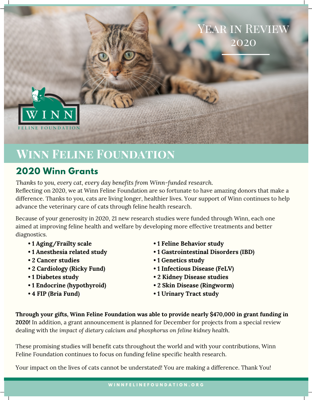 Year in Review 2020 Winn Feline Foundation
