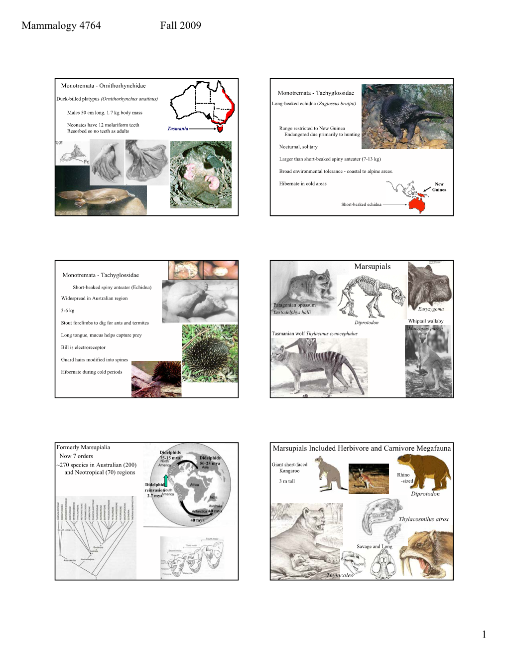 Mammalogy 4764 Fall 2009 1