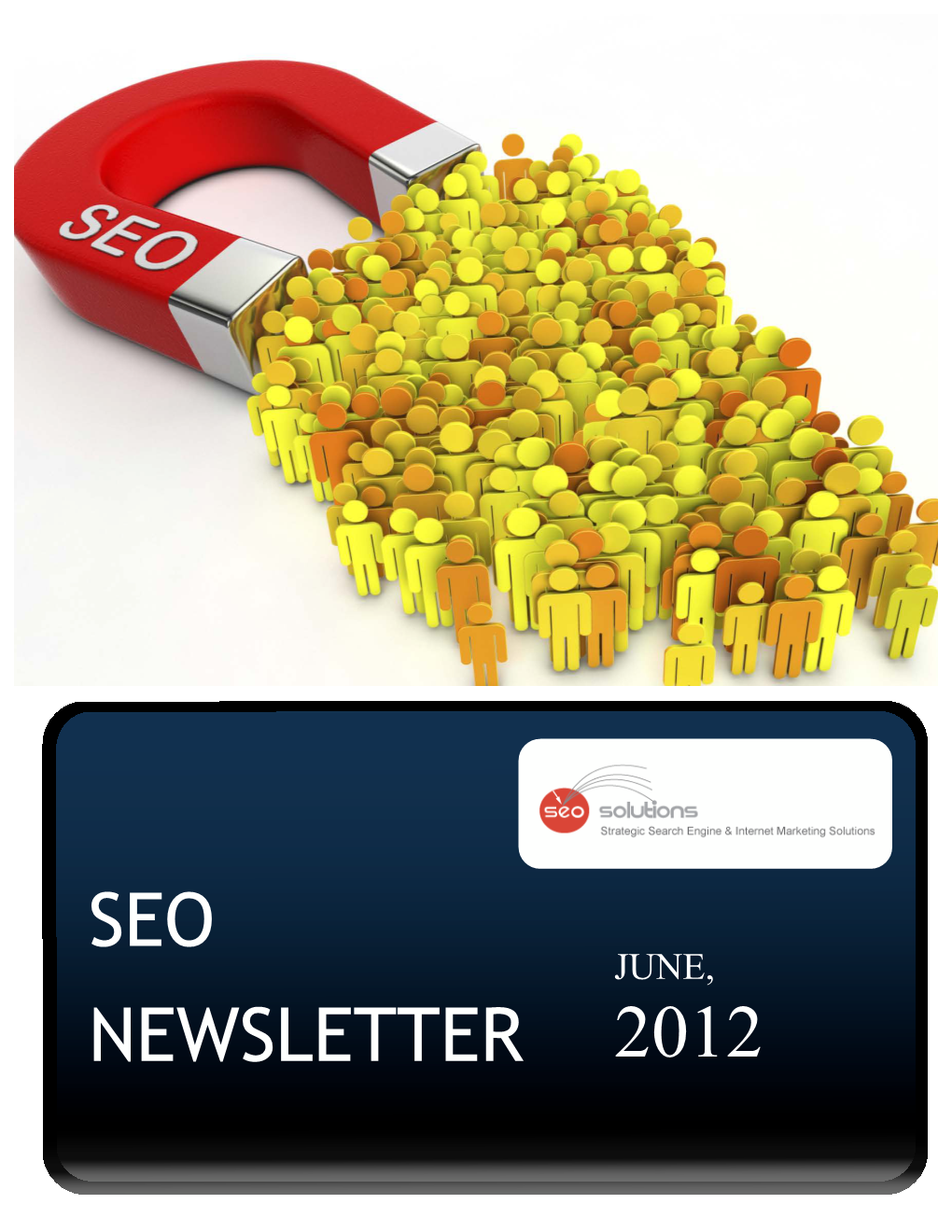 Seo Newsletter 2012