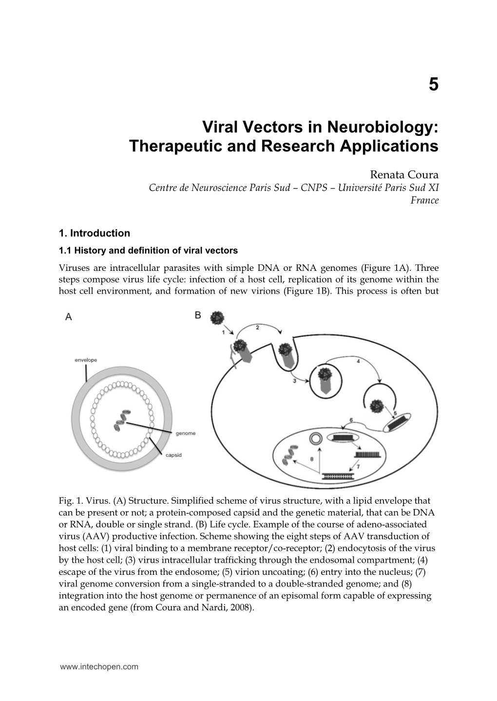 Viral Vectors in Neurobiology: Therapeutic and Research Applications