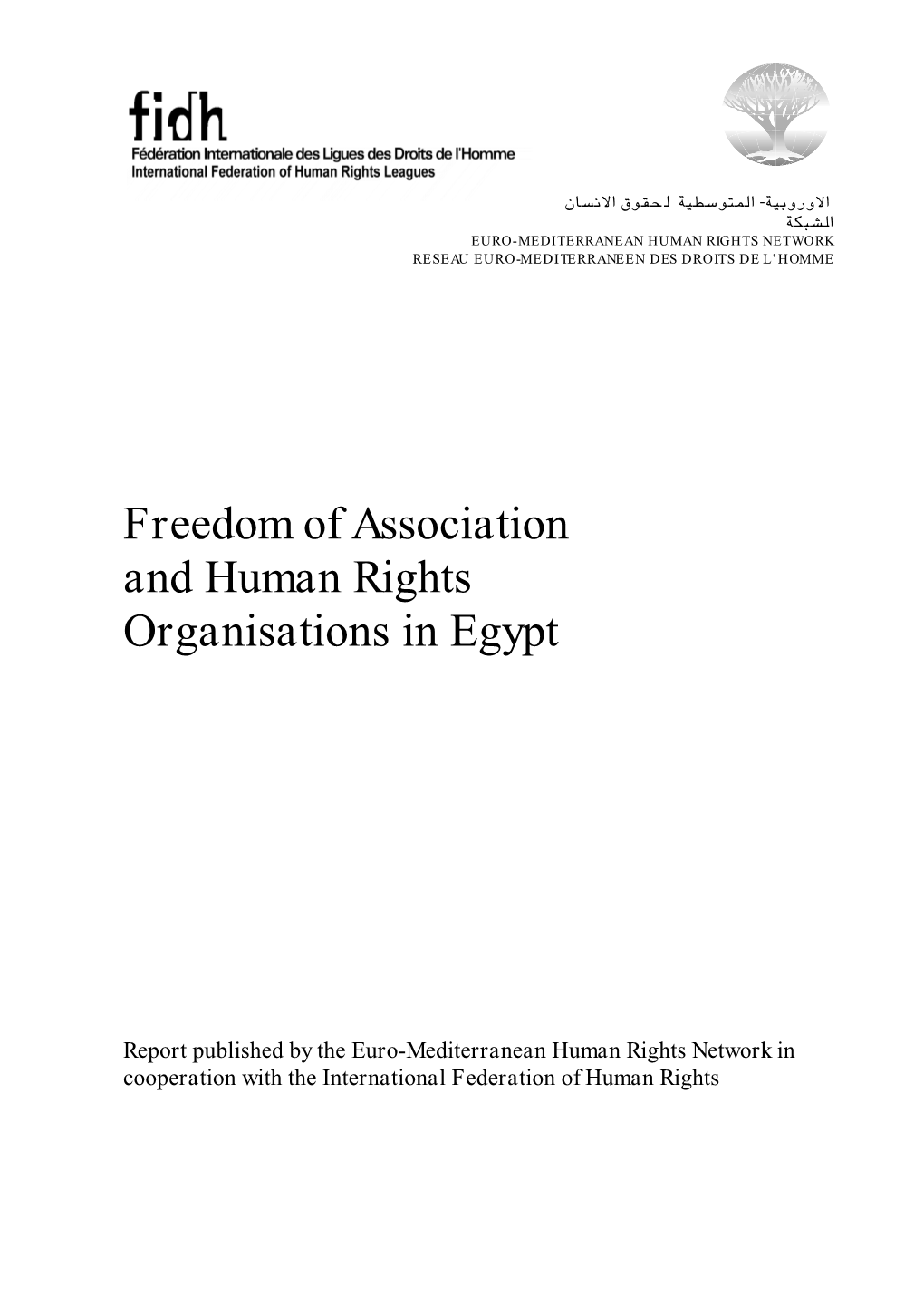 Freedom of Association and Human Rights Organisations in Egypt