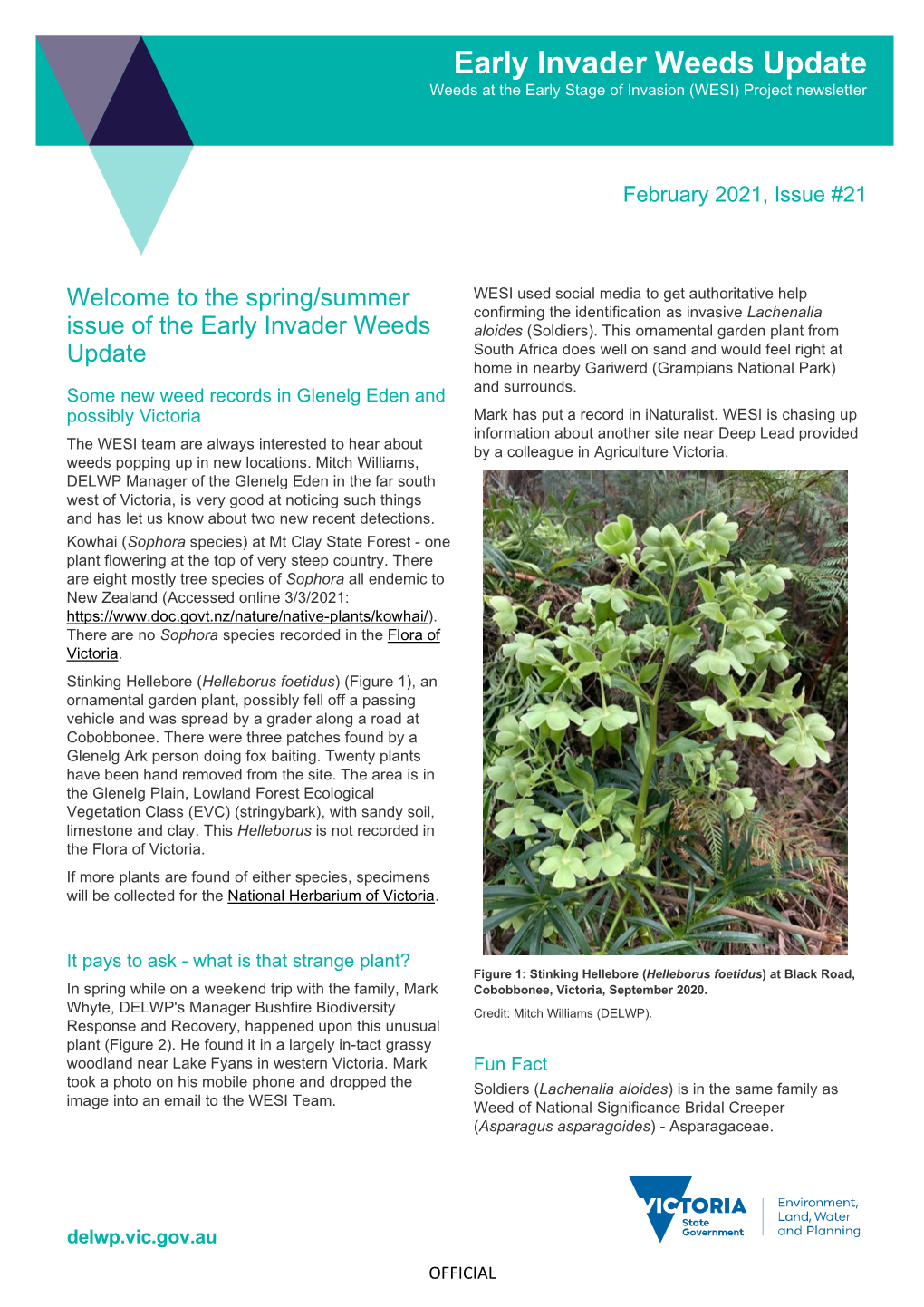 Early Invader Weeds Update Weeds at the Early Stage of Invasion (WESI) Project Newsletter