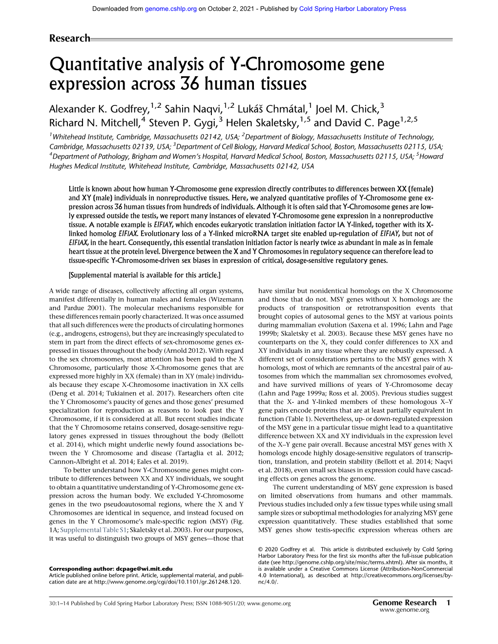 Quantitative Analysis of Y-Chromosome Gene Expression Across 36 Human Tissues