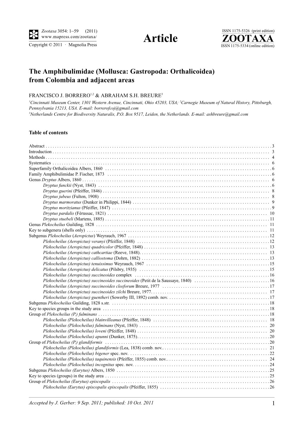 The Amphibulimidae (Mollusca: Gastropoda: Orthalicoidea) from Colombia and Adjacent Areas