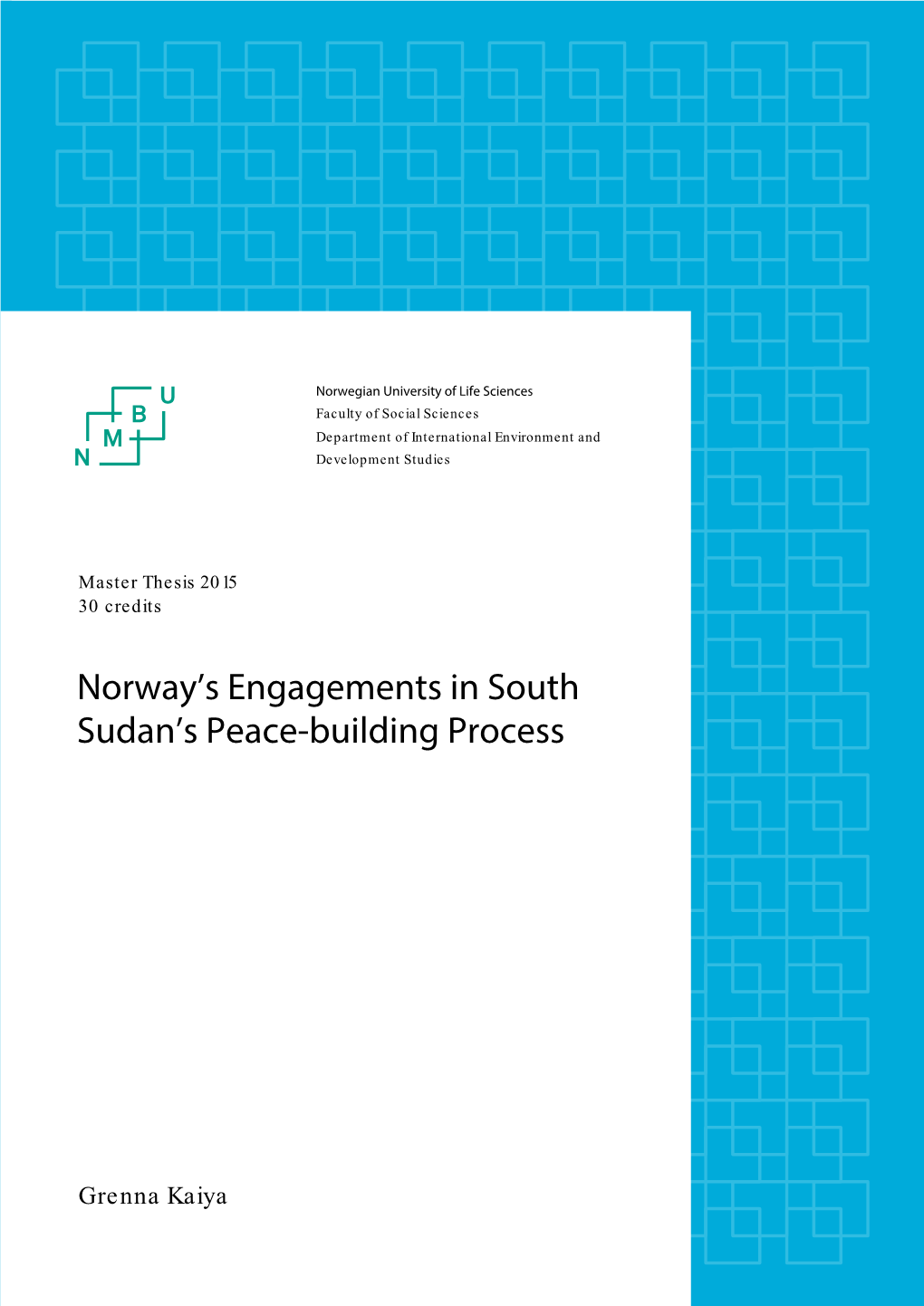 Norway's Engagements in South Sudan's Peace-Building Process