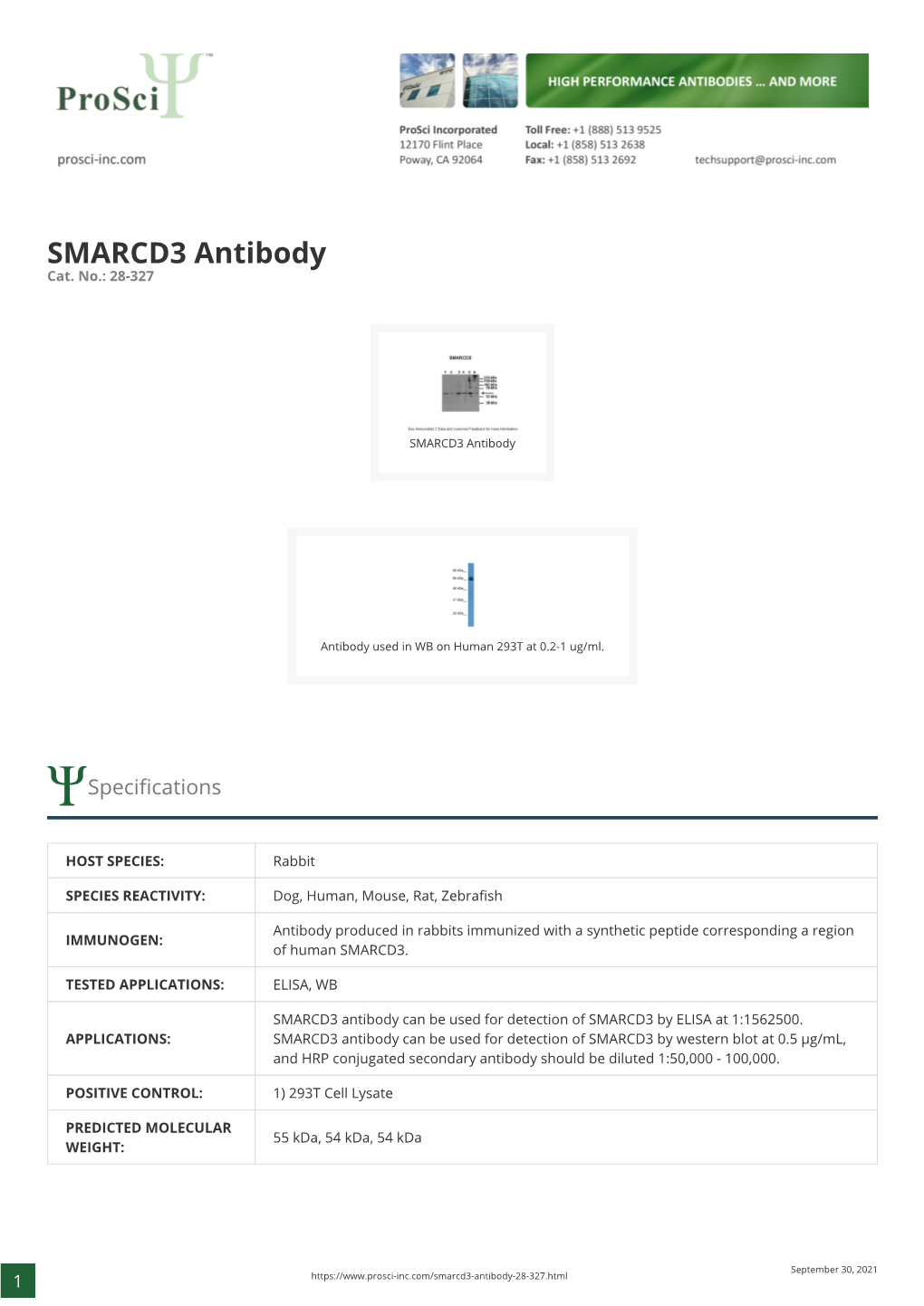 SMARCD3 Antibody Cat