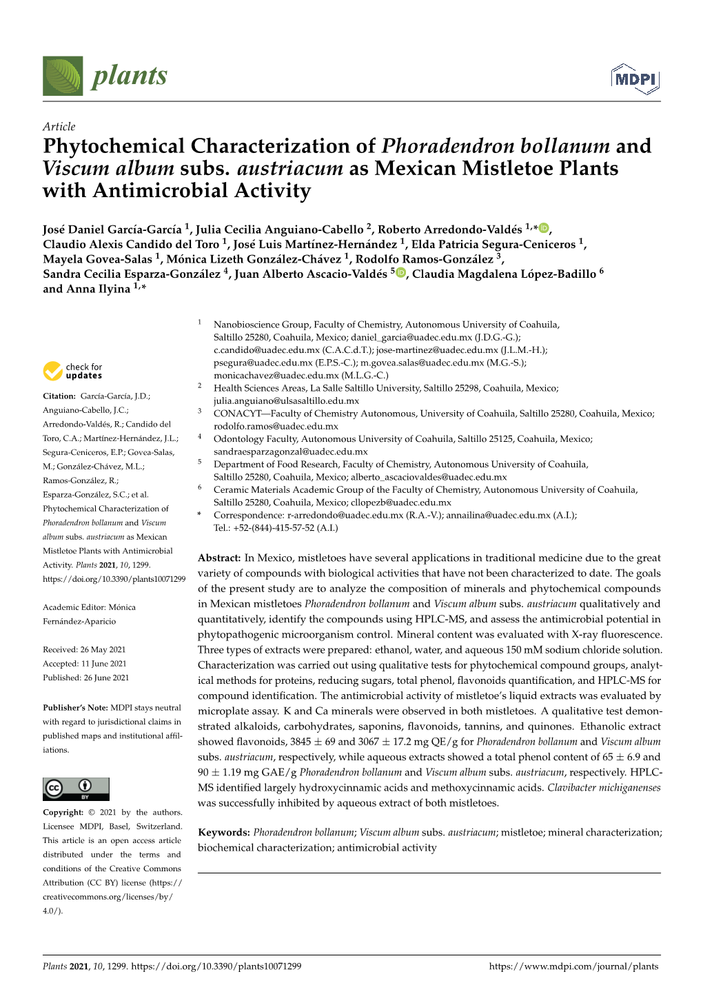 Phytochemical Characterization of Phoradendron Bollanum and Viscum Album Subs