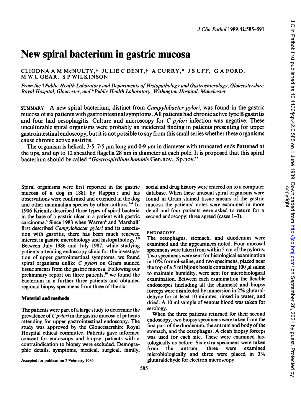 New Spiral Bacterium in Gastric Mucosa