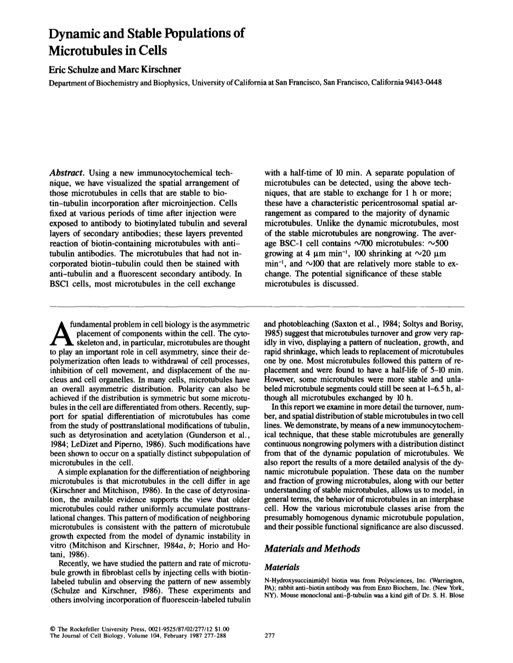 Dynamic and Stable Populations of Microtubules in Cells