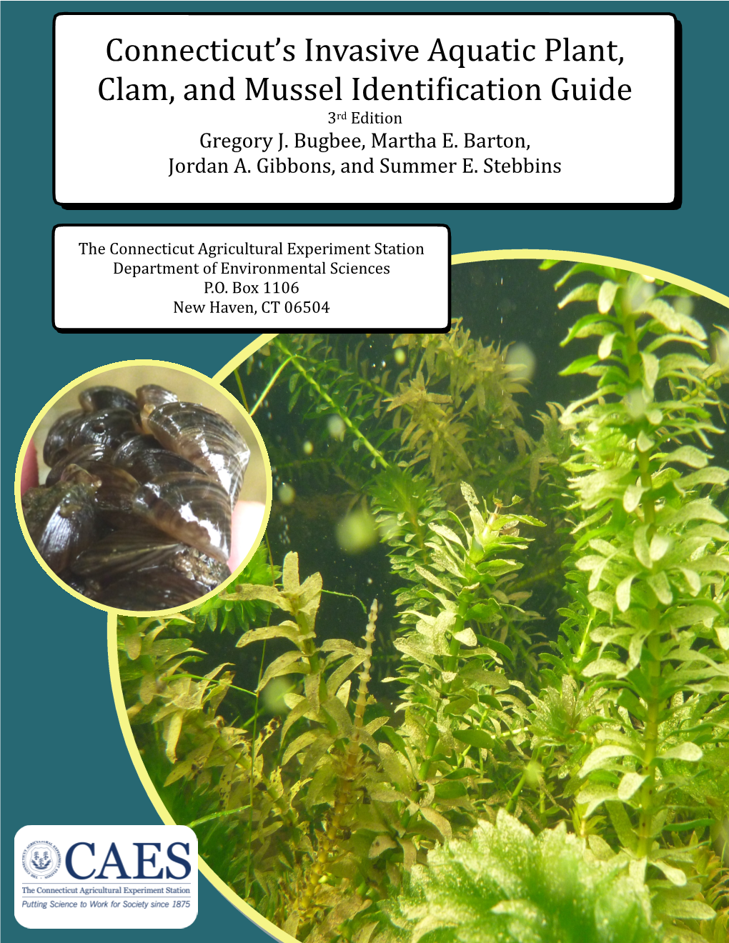 Connecticut's Invasive Aquatic Plant, Clam, and Mussel Identification Guide