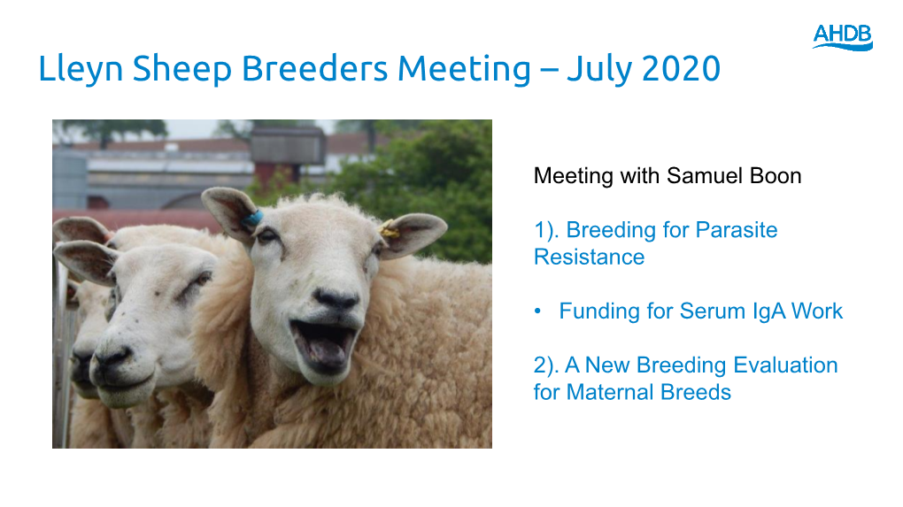 Lleyn Sheep Breeders Meeting – July 2020