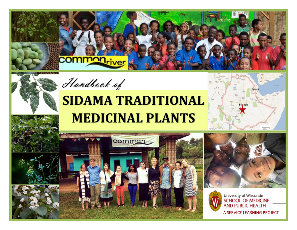 Handbook of SIDAMA TRADITIONAL MEDICINAL PLANTS