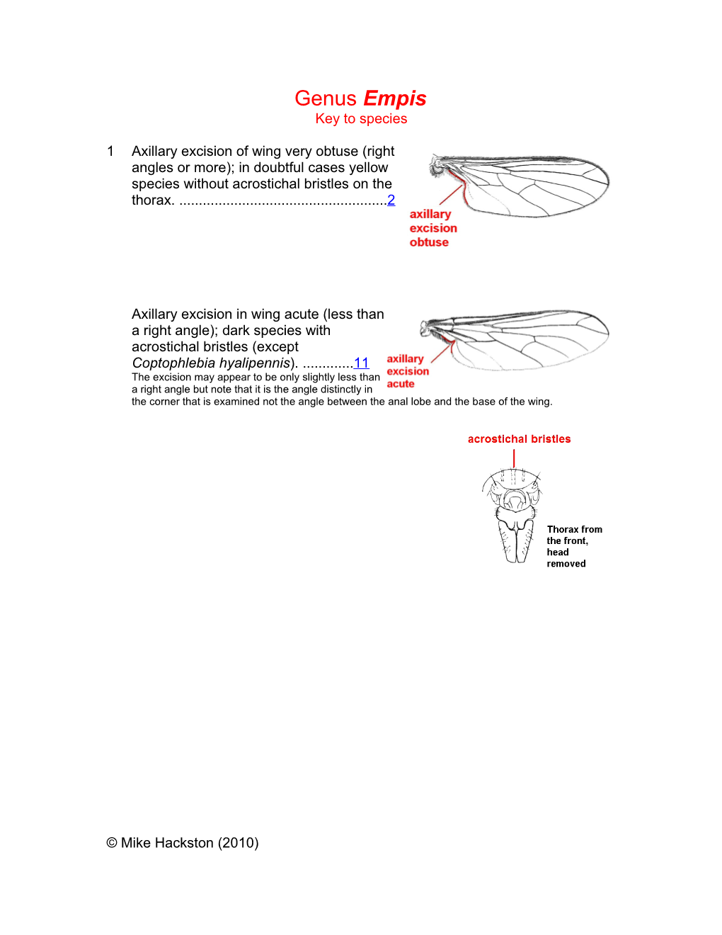 Genus Empis Key to Species