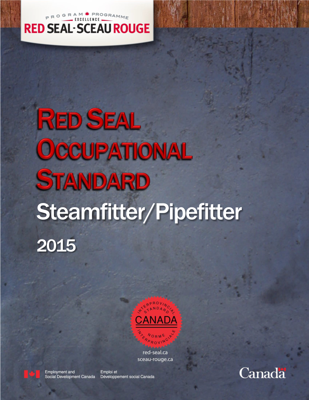 Steamfitter/Pipefitter Red Seal Occupational Standard