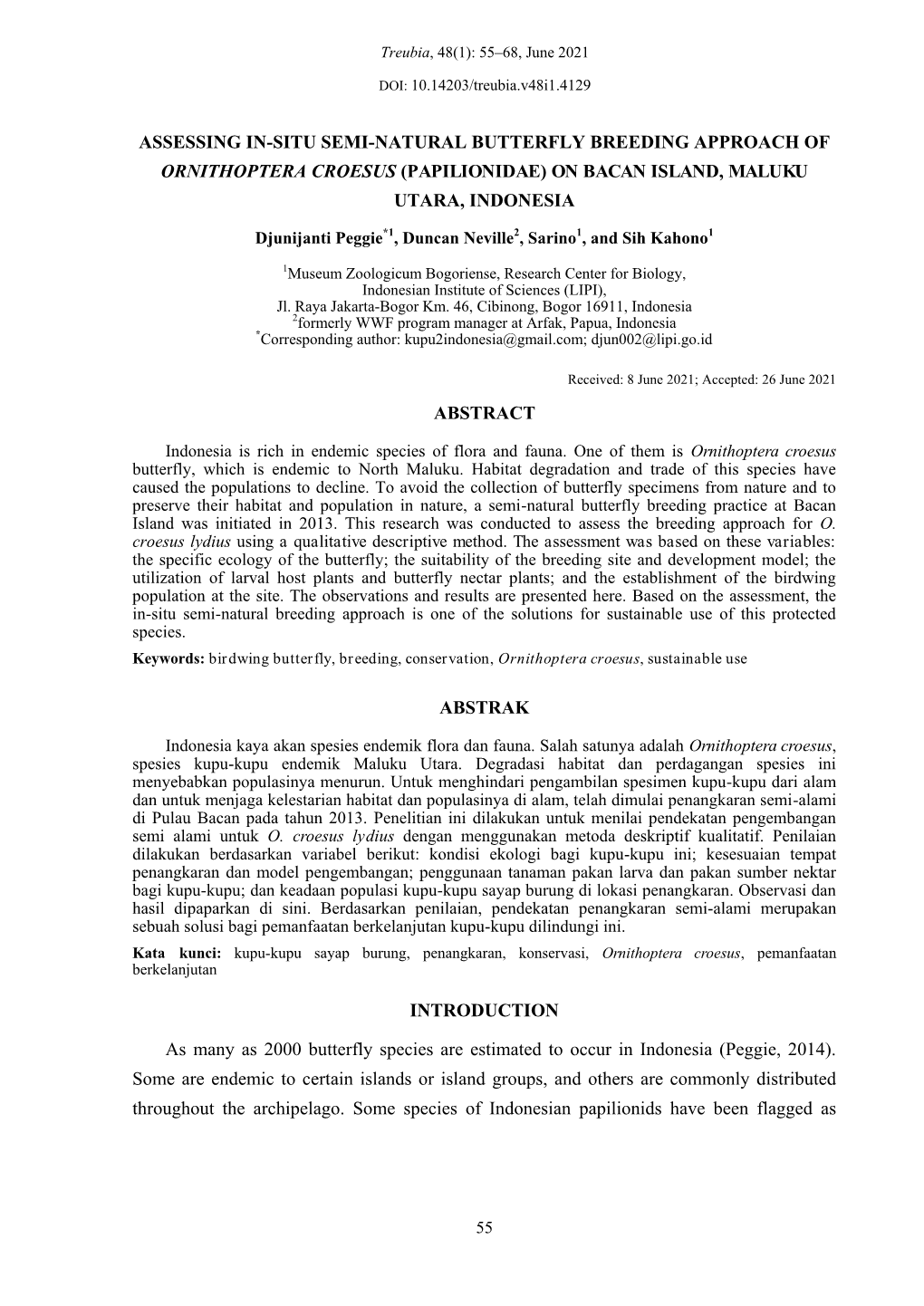 Assessing In-Situ Semi-Natural Butterfly Breeding Approach of Ornithoptera Croesus (Papilionidae) on Bacan Island, Maluku Utara, Indonesia