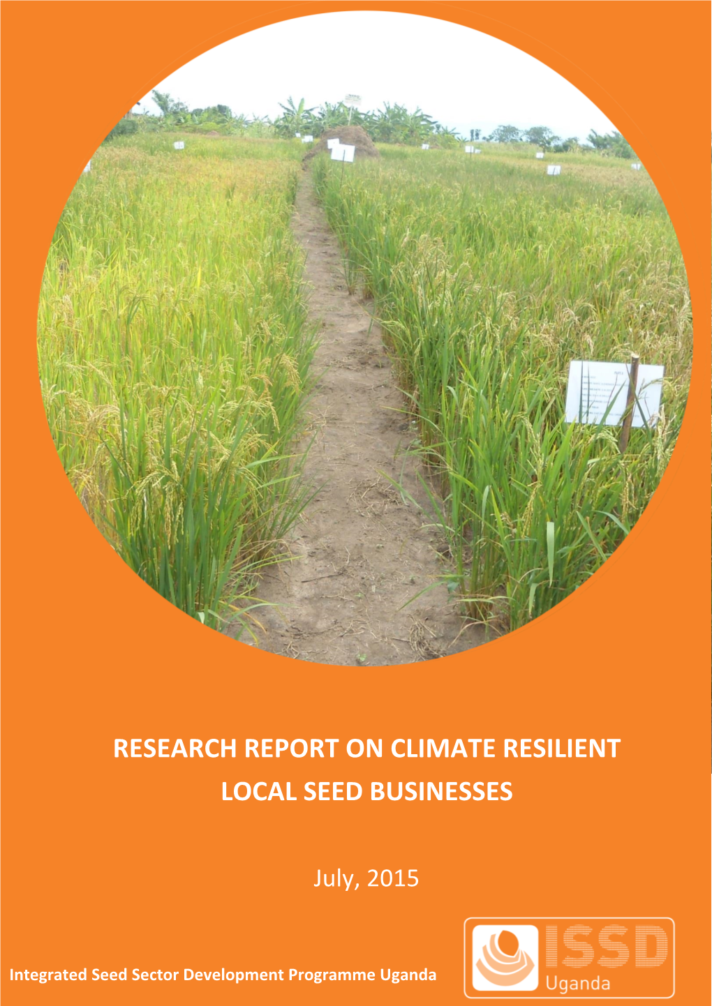 Research Report on Climate Resilient Local Seed Businesses